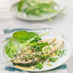 SALMONE ALLE ERBE E CORIANDOLO - 9476