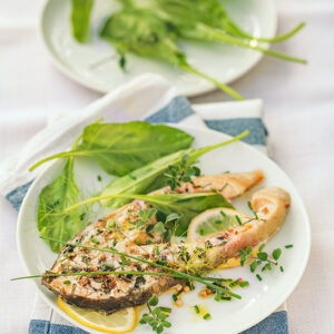 SALMONE ALLE ERBE E CORIANDOLO - 9477
