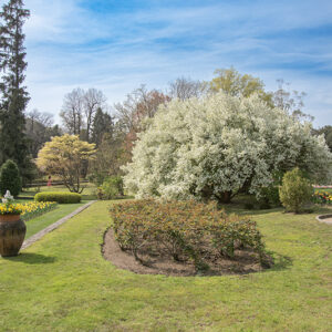 GIARDINO - VILLA TARANTO - VERBANIA - 6963