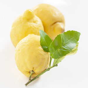 LIMONI - 1180