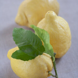 LIMONI - 1175