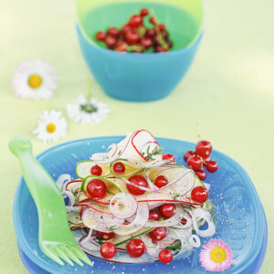 INSALATA DI MELA CIPOLLA CETRIOLO RIBES E TIMO OLIO E ACETO DI MELE - 4599