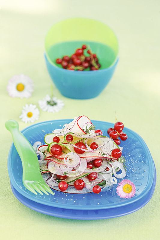 INSALATA DI MELA CIPOLLA CETRIOLO RIBES E TIMO OLIO E ACETO DI MELE - 4599