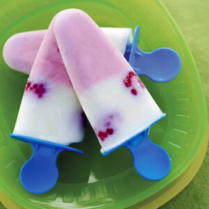 GELATI ALLO YOGURT - 4767