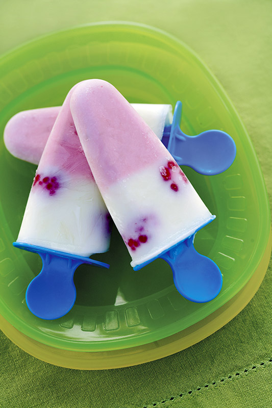 GELATI ALLO YOGURT - 4767