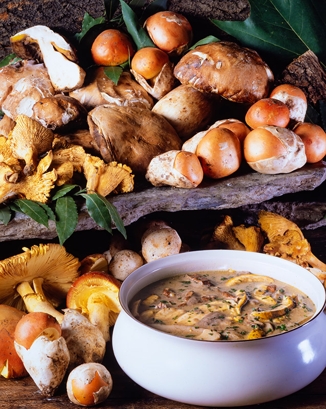 ZUPPA MONTANARA - 4863 - immagine 1