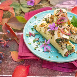 CANNELLONI MELANZANE CIPOLLOTTI MALVA - 4527