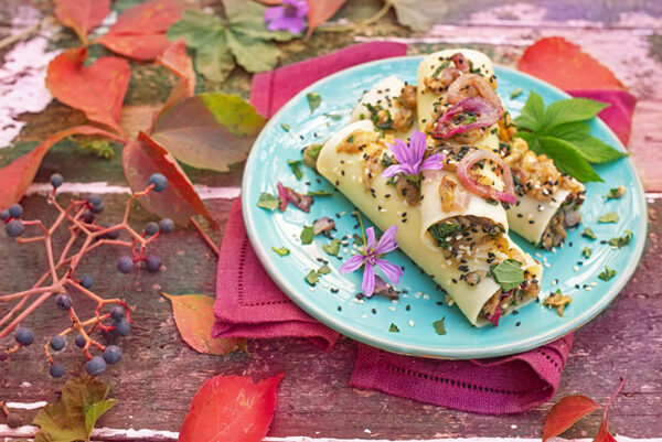 CANNELLONI MELANZANE CIPOLLOTTI MALVA - 4527