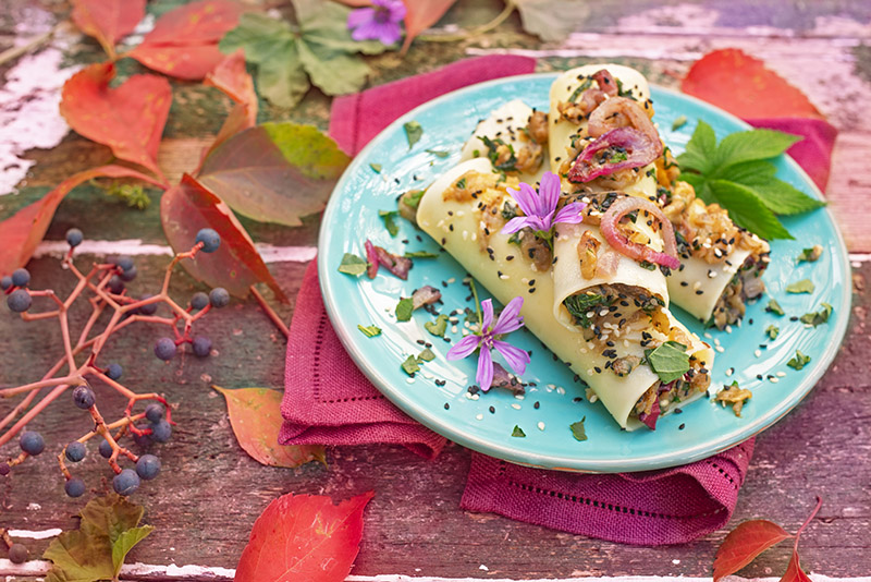 CANNELLONI MELANZANE CIPOLLOTTI MALVA - 4527 - immagine 1