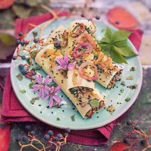 CANNELLONI MELANZANE CIPOLLOTTI MALVA - 4530