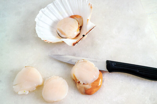 CAPESANTE ALLO ZAFFERANO (STEP 2) - 4119