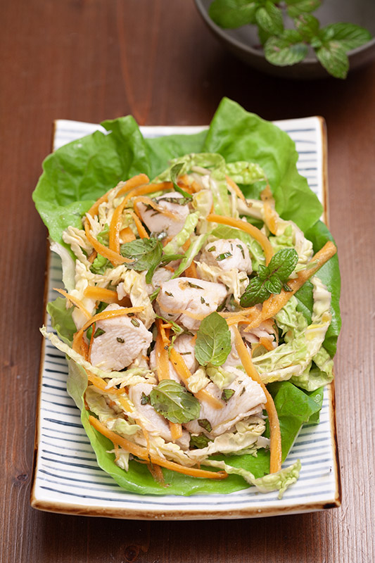 GA XE PHAY - VIETNAM - INSALATA DI POLLO - 5165