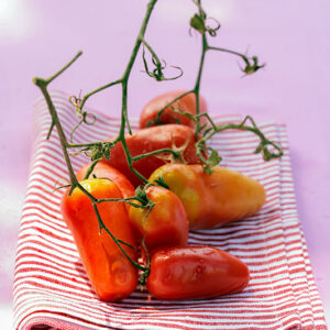 POMODORI SAN MARZANO - 5871