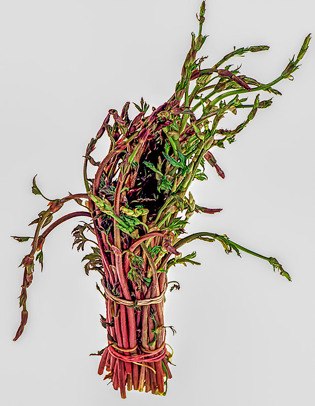 BRUSCANDOLI - 53923 - immagine 1