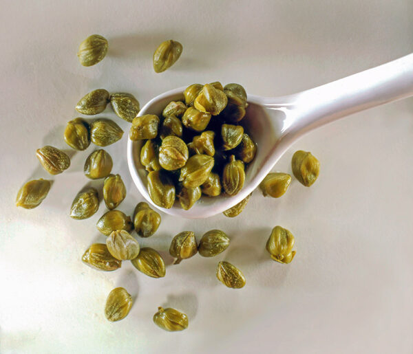 CUCCHIAIO DI CAPPERI  - 53973