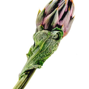 CARCIOFO SPINOSO SARDO - 53988