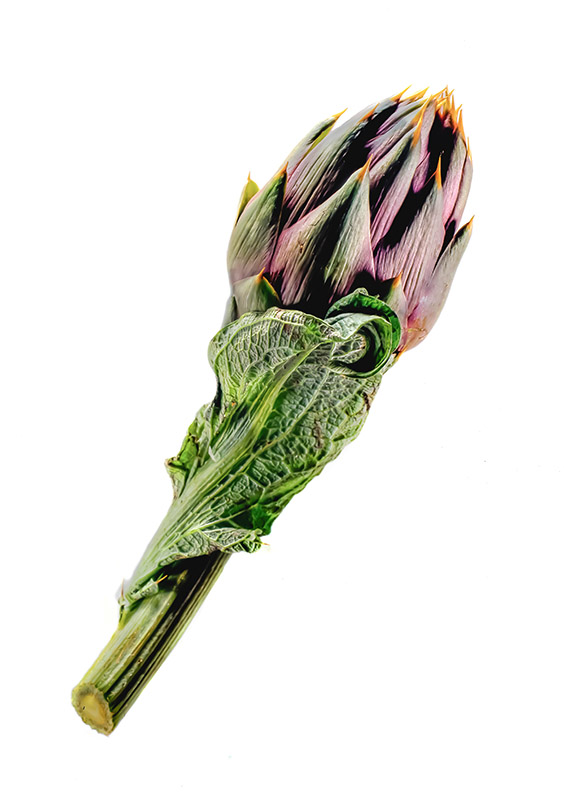 CARCIOFO SPINOSO SARDO - 53988