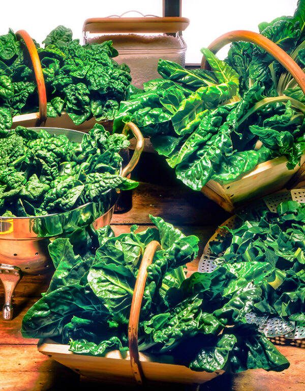 ERBETTE SPINACI COSTE