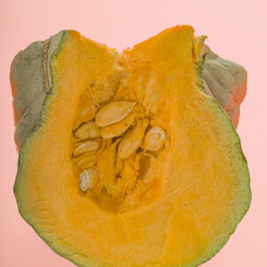 ZUCCA - K2313