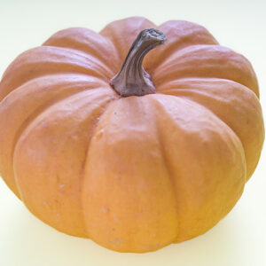 ZUCCA - K2315