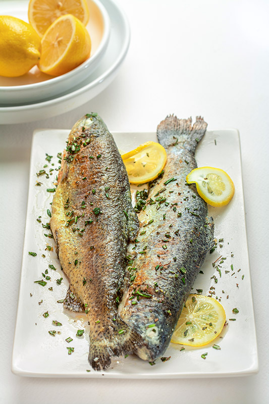 TROTE ALLA GRAPPA - 2886