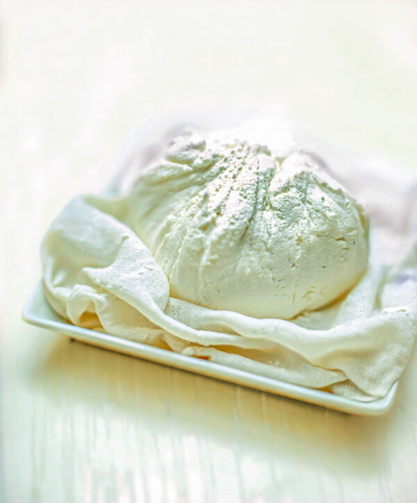 RICOTTA - S0103-1422