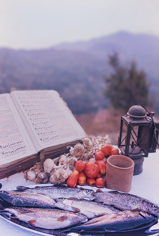 TROTE DEL NOCE - EP2161