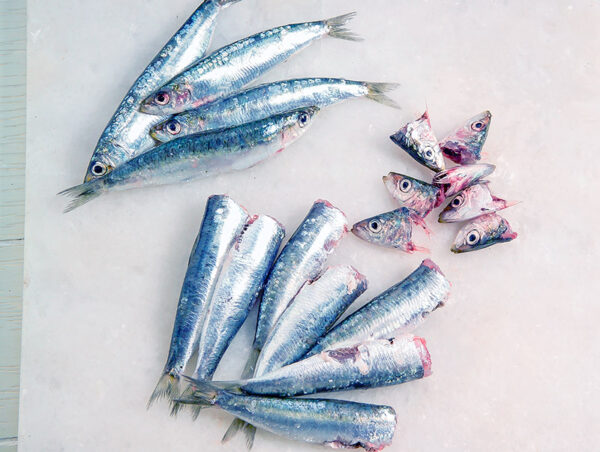 TORTINO DI ACCIUGHE E VERDURA (STEP 1) - L2655