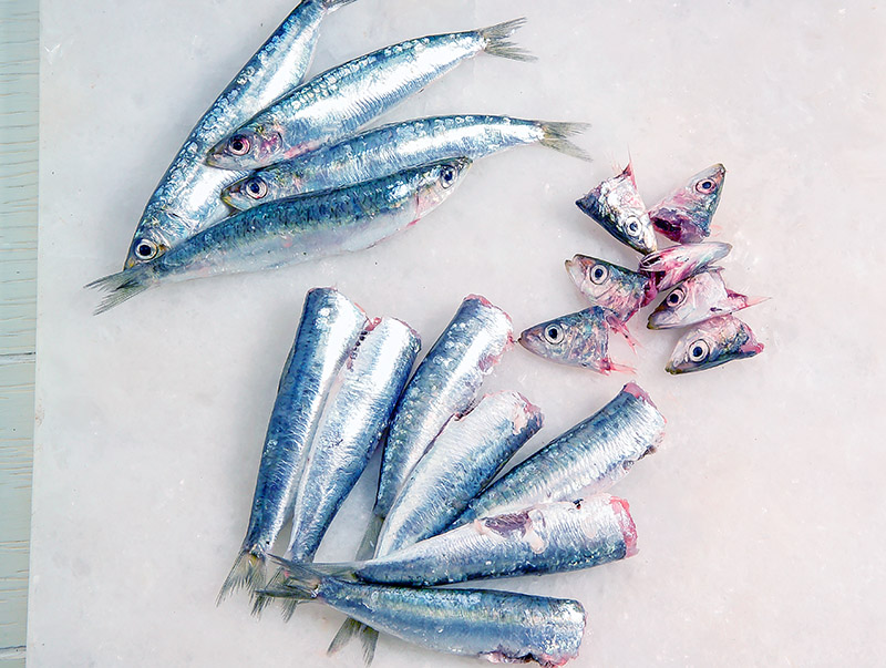 TORTINO DI ACCIUGHE E VERDURA (STEP 1) - L2655 - immagine 1