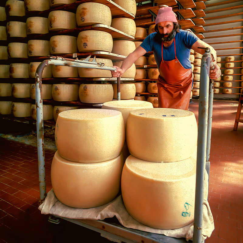 LAVORAZIONE PARMIGIANO REGGAINO - 64914 - immagine 1