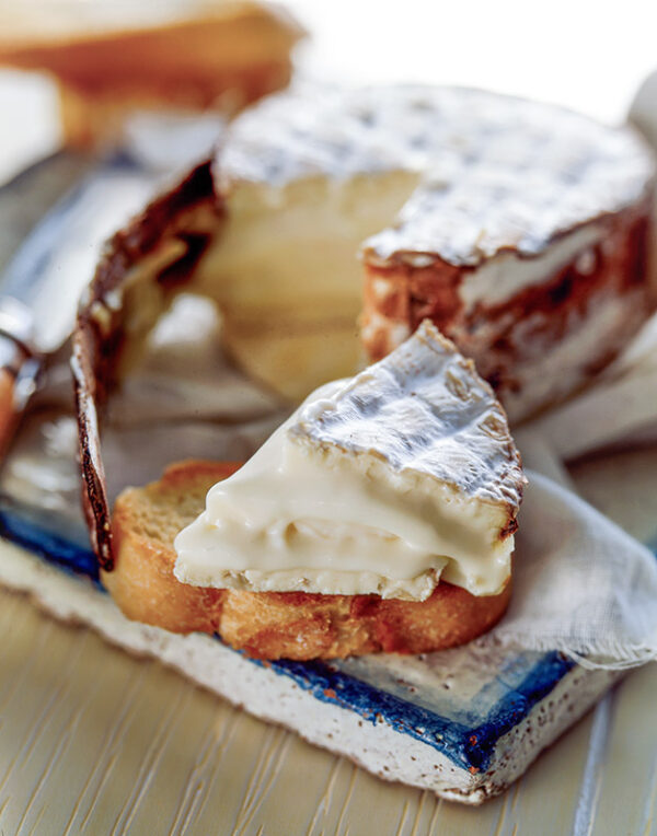 ECORCE DE SAPIN - FRANCIA - S01021704