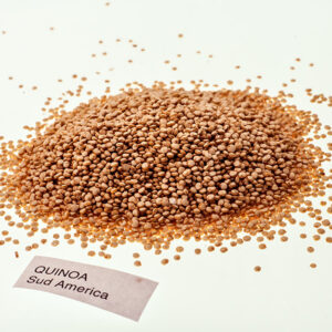 QUINOA - SUD AMERICA - S01031699