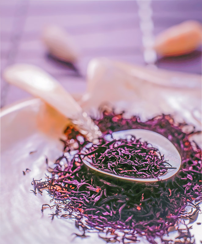 ALGHE - S1405005 - immagine 1