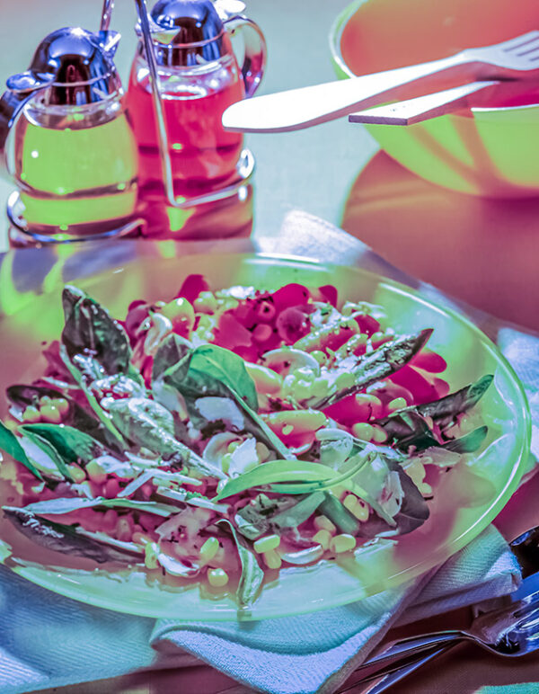 INSALATA DI PRIMAVERA - S14990 - 73952