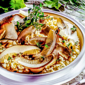 RISOTTO CON PORCINI - S183900 - 75077