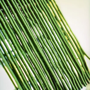 TAGLIATELLE VERDI - S0405083 - 5752