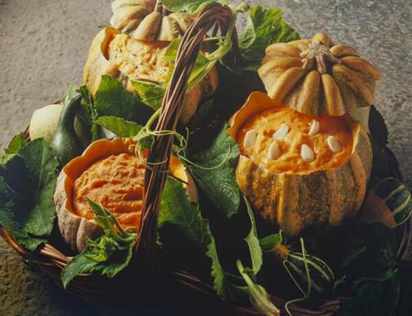 SALSE CREMOSE ALLA ZUCCA - 2068