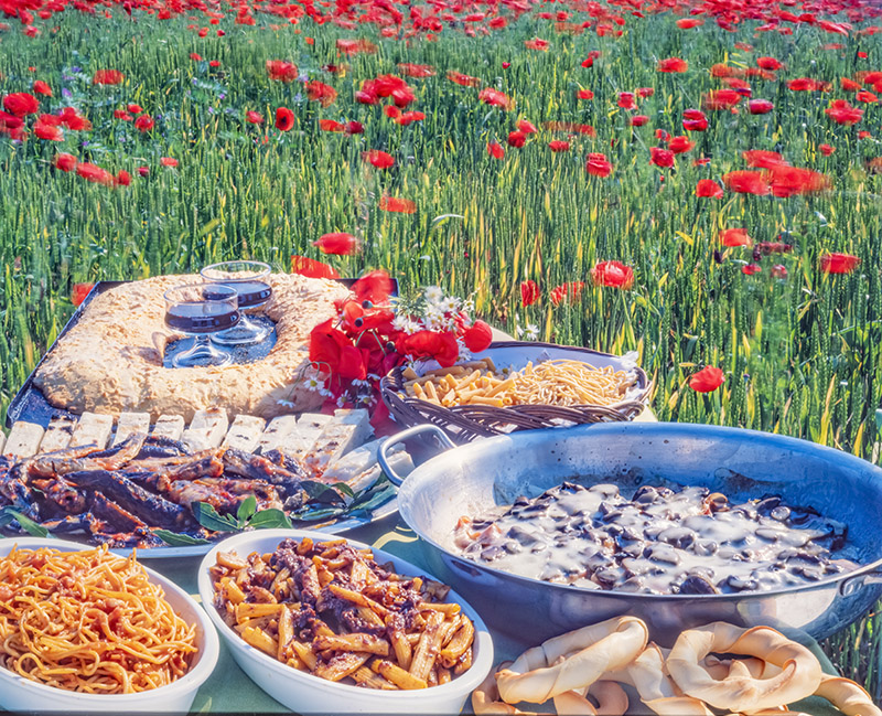 BISATO ALLA PAESANA, LA TARCHIATA, MACCHERONI AL SUGO DI CERVO,  FUNGHI - 5028 - immagine 1