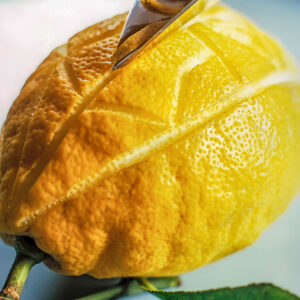 SMOOTHIES e CO - LIMONE LAVORATO - S0304216