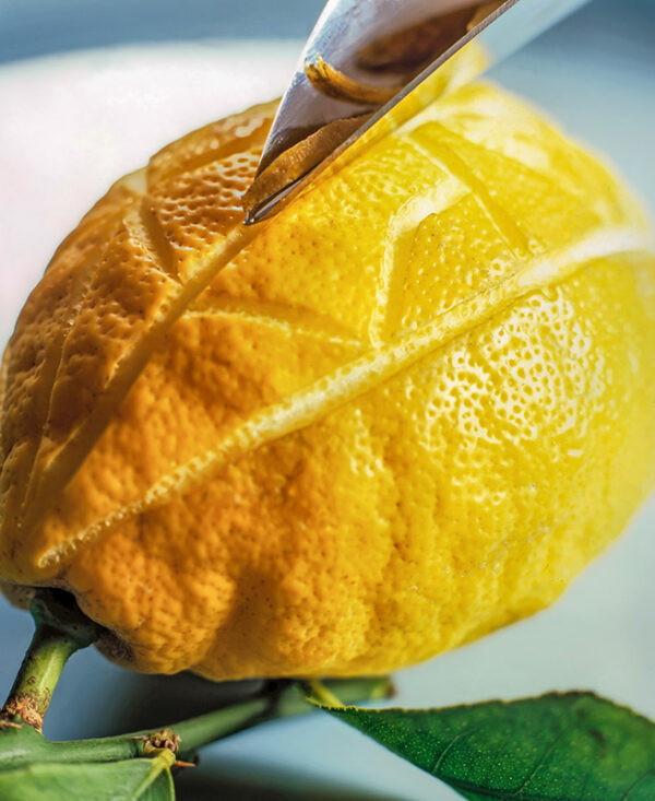 SMOOTHIES e CO - LIMONE LAVORATO - S0304216