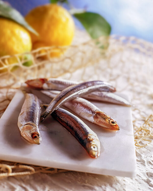 ACCIUGHE - S25980 - 77872