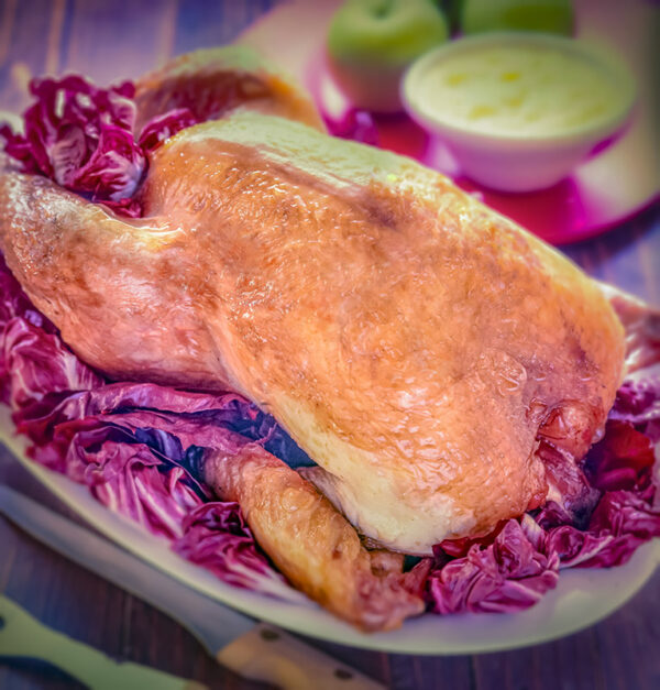 POLLO CON RADICCHIO - 5468