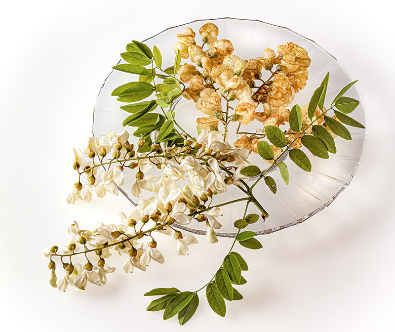 FRITTELLE DI ROBINIA - S98910 - 4539 - immagine 1