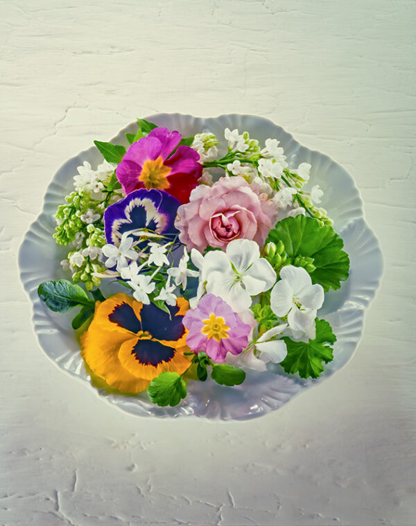 APERTURA FIORI NEL PIATTO - S67930 - 4562