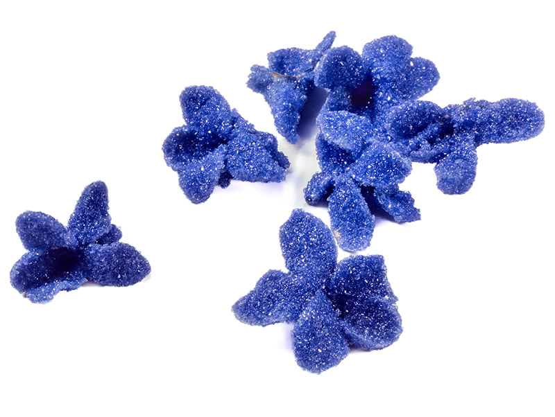VIOLETTE CANDITE - GR2000790 - immagine 1