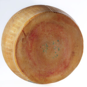PARMIGIANO REGGIANO - 0321