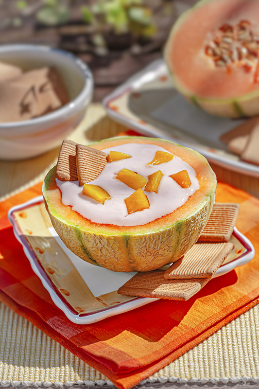 MELONE YOGURT E BISCOTTI - 0158