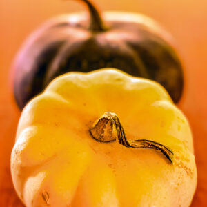 ZUCCHE - S2104145