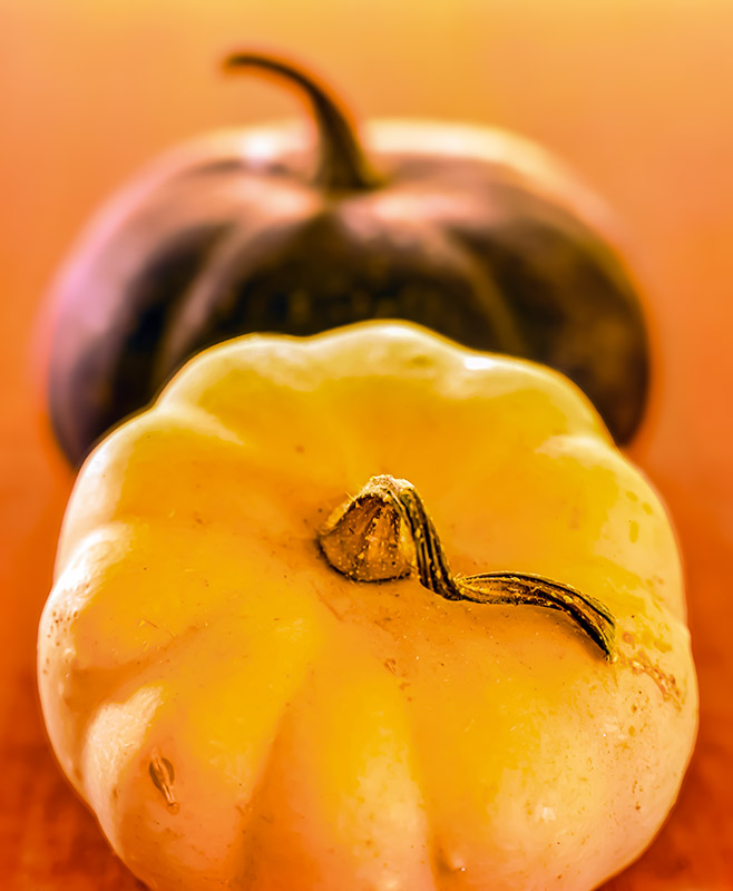 ZUCCHE - S2104145 - immagine 1