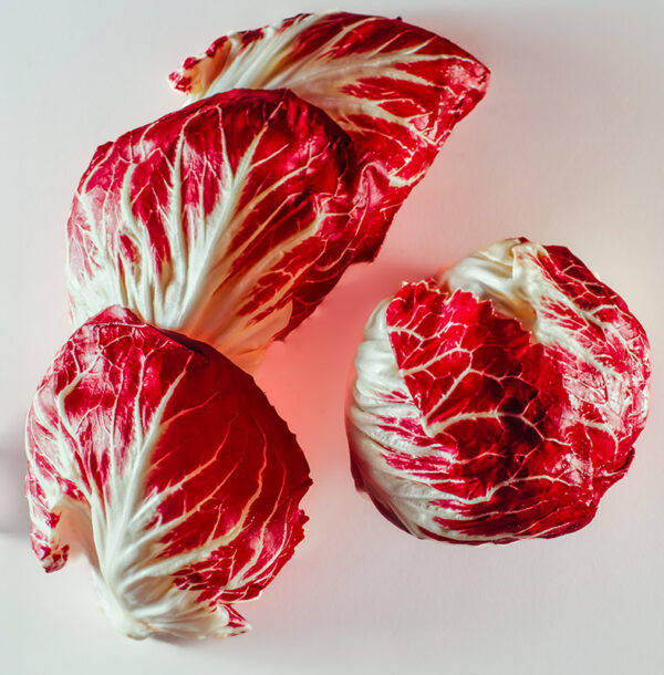 RADICCHIO DI CHIOGGIA - 5703